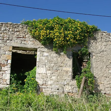 Greek House